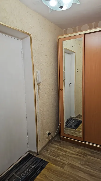 Квартира рядом с городскими прудами, Платинум ареной