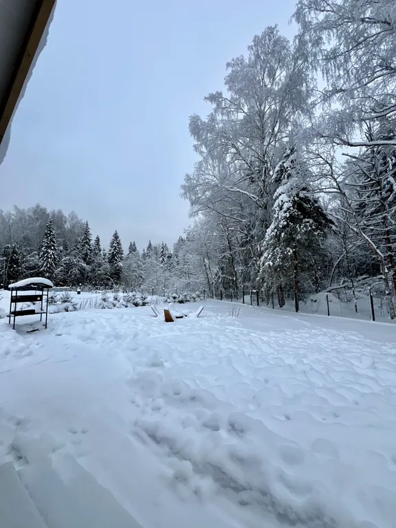 Коттедж Уютный дом с видом на лес — Истра