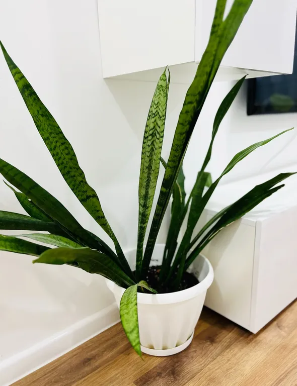 Комфортная однокомнатная квартира