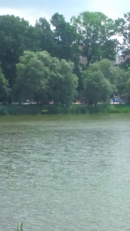 Квартира Квартира возле Киевского сквера и озера Летнего — Калининград