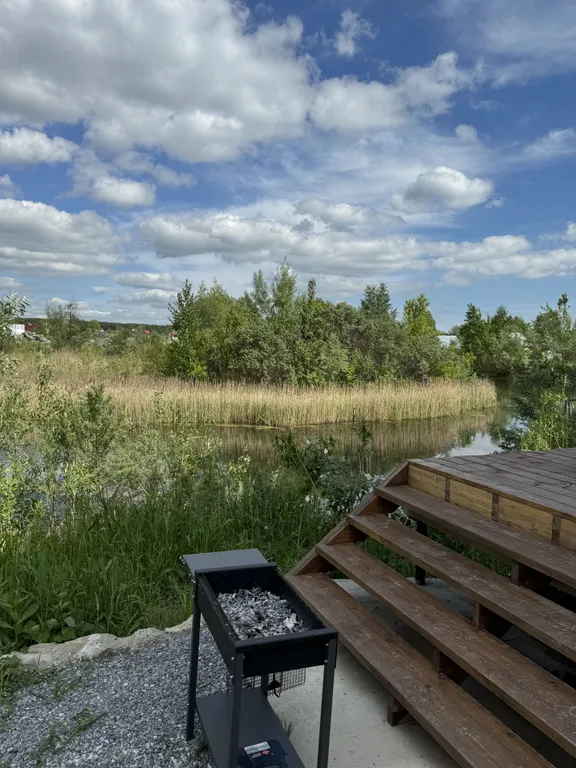 Новый год свободен