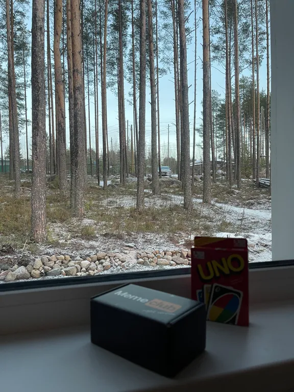 Уютный дом с живописным видом на лес