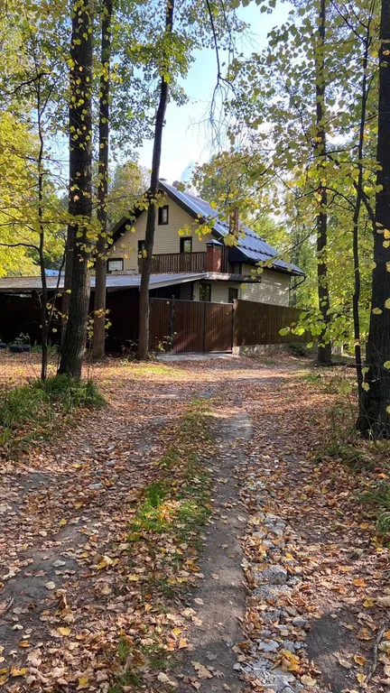 Дом в лесу у залива