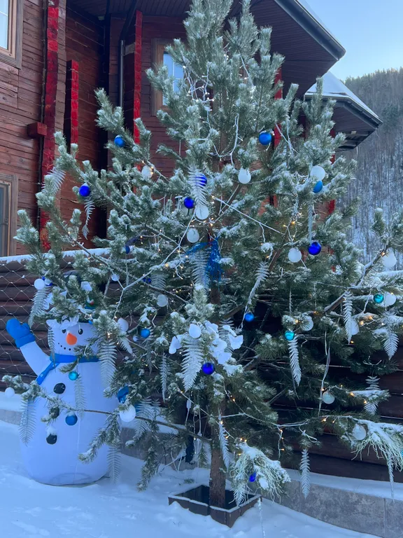 Коттедж Элис в центре с видом на Байкал