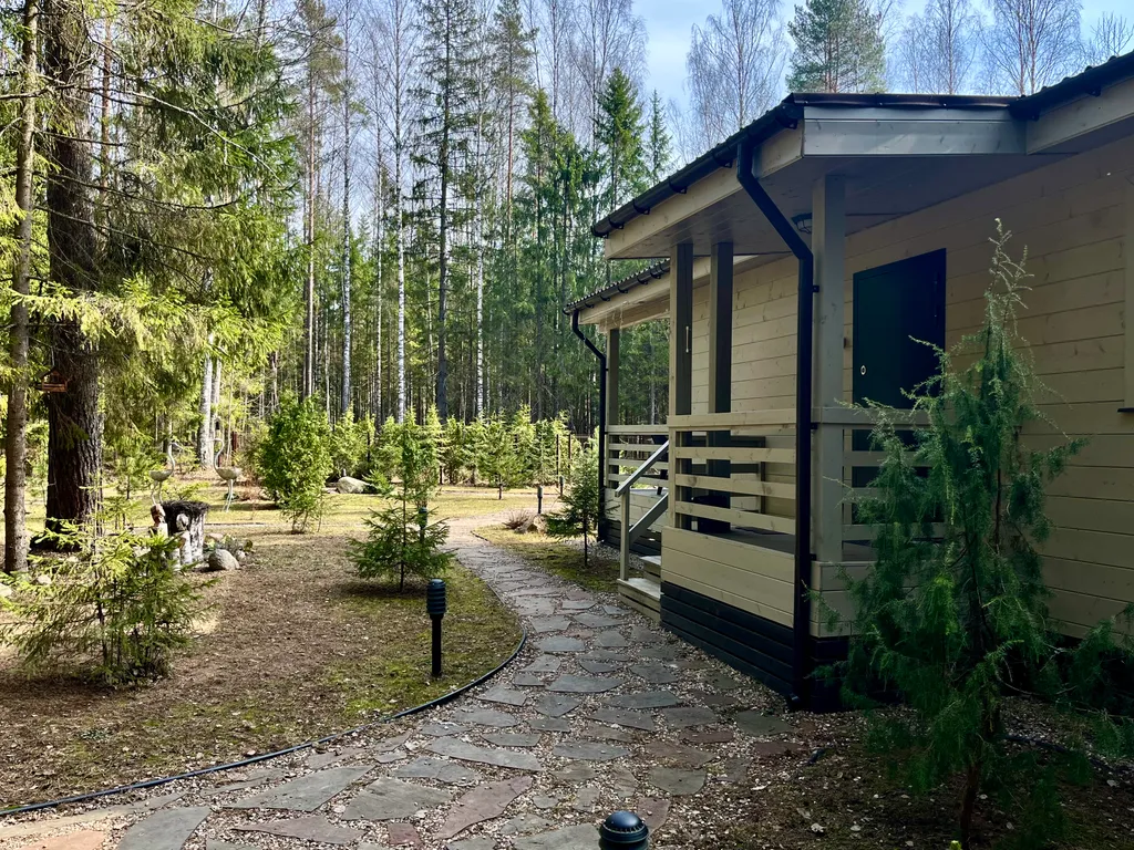 Коттедж Коттедж на озере Волго на Селигере в сосновом бору — Турбаза Чайка