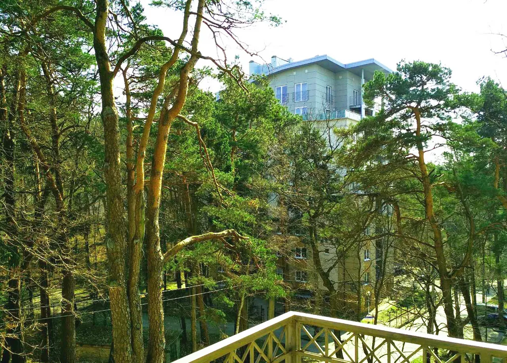 Квартира Квартира Из Дома в Дом — Светлогорск