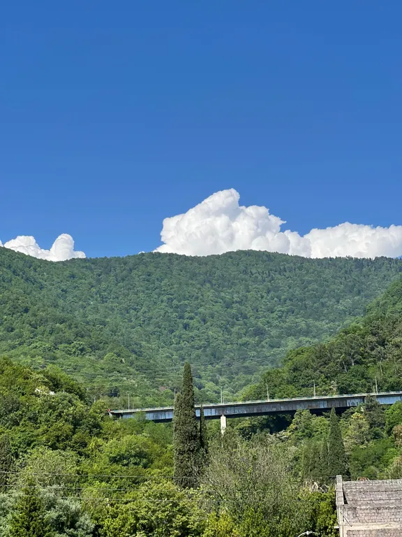 Квартира Квартира Апартамент с балконом у моря — Гагра
