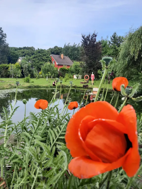 Дом на самом берегу моря