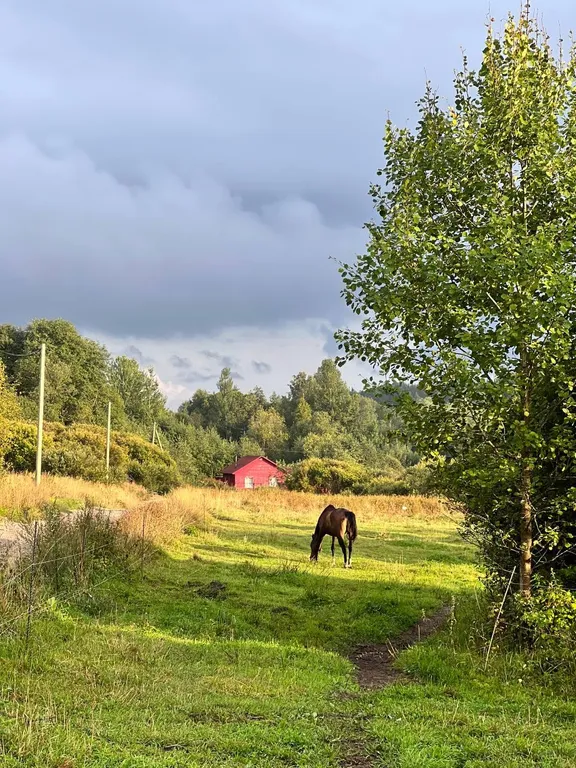 В гостях у природы