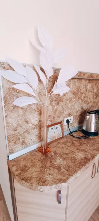 Яркая студия в центре