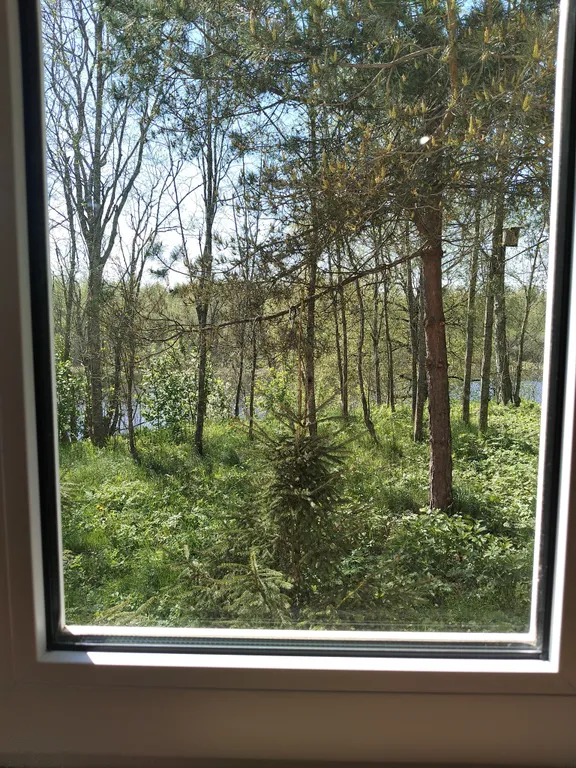 Домик в глуши