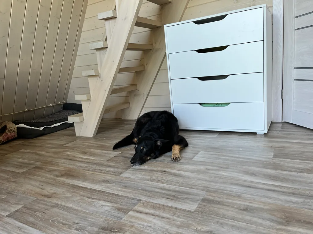 Стильный домик для отдыха с питомцем