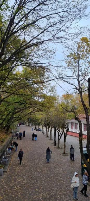 Тихий Домик с видом на горы