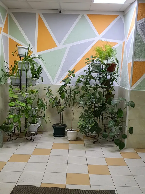 Уютная квартира с красивым видом на закат