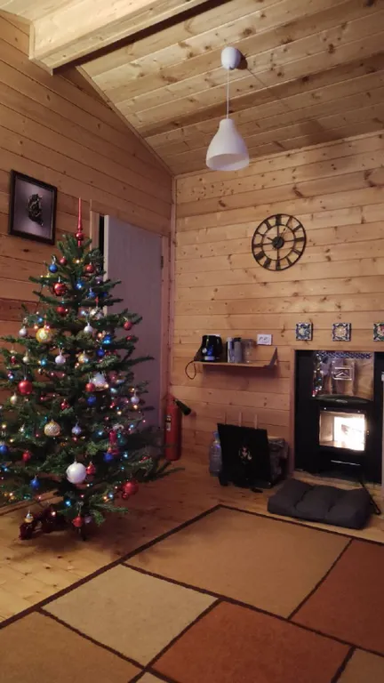 Барнхаус с баней и панорамными окнами