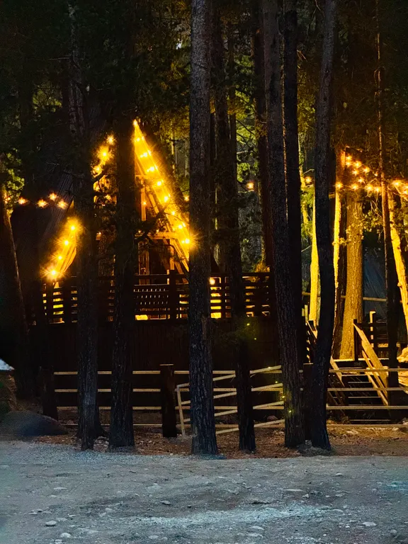 The Nest Гнездышко