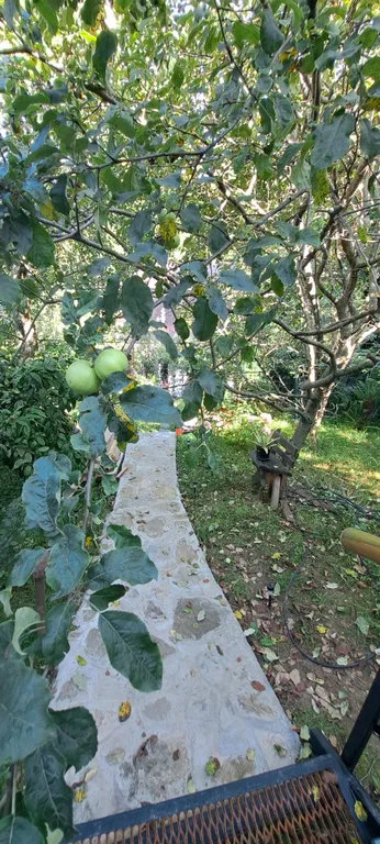 Коттедж Эко-дом Пандадом 500м море — Сочи