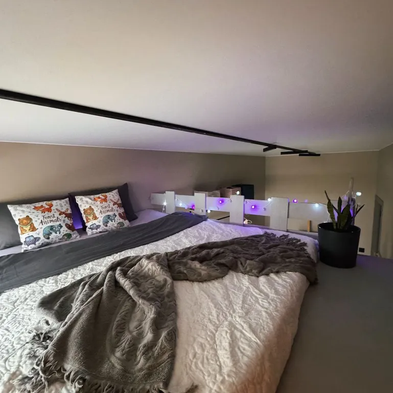 Квартира Фантастическая квартира с видом на Финский залив и лебедями из окна — Санкт-Петербург