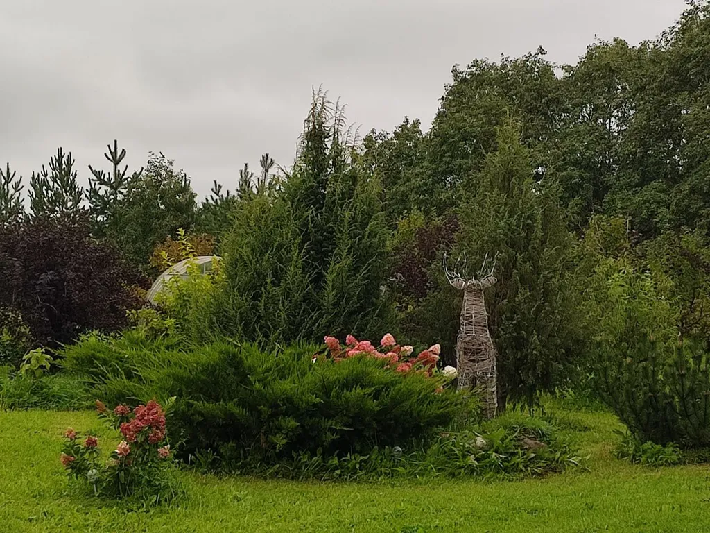 Гостевой дом в яблоневом саду из бревен Карельской сосны