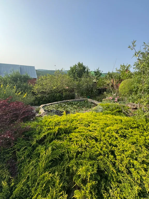 Эко домик лесника