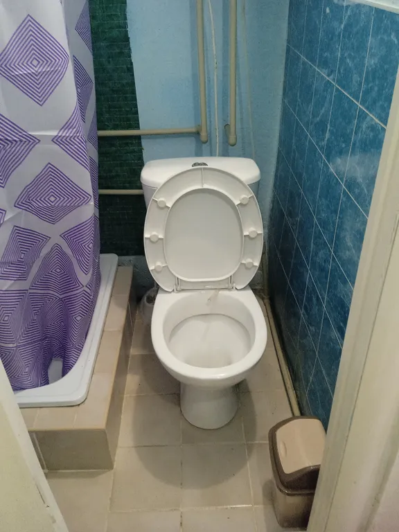 Частый сектор в лесном массиве. Комната