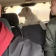 Пользователь