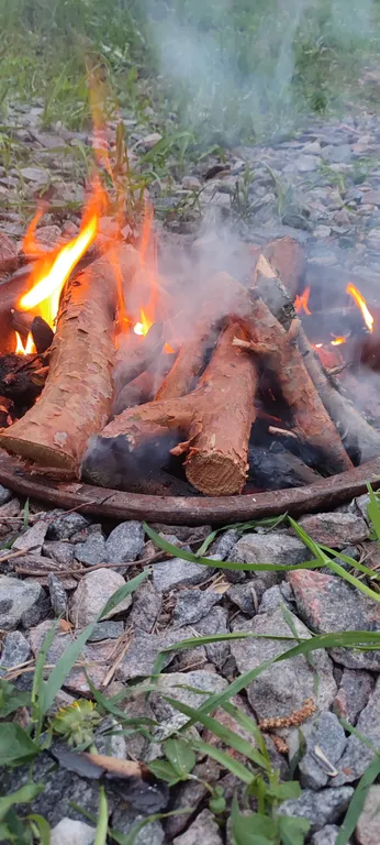 Коттедж Тёплый коттедж с баней на очень большой уединённой территории — Кротово