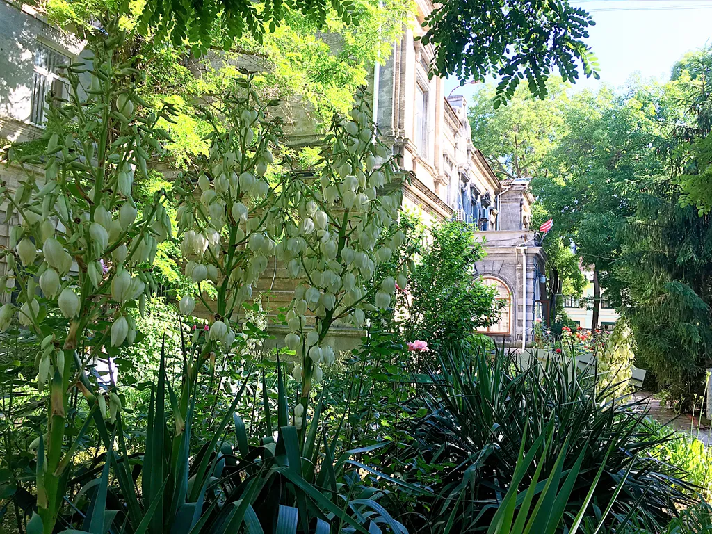 Уютная квартира в центре