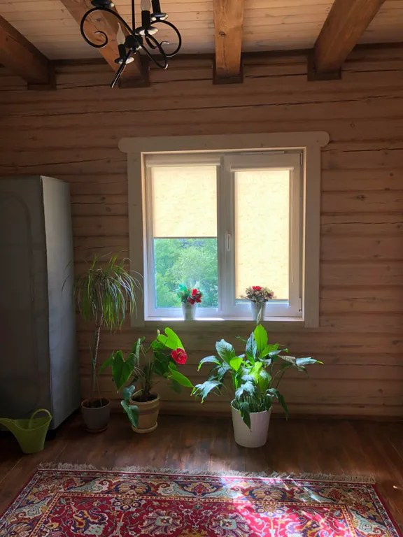 Аренда дома на озере Нарочь