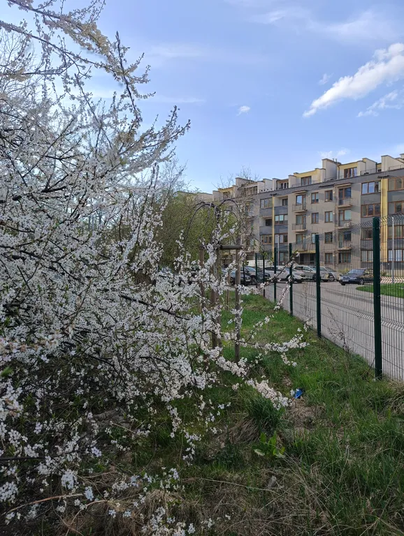 Квартира Апартаменты с видом на парк — Калининград