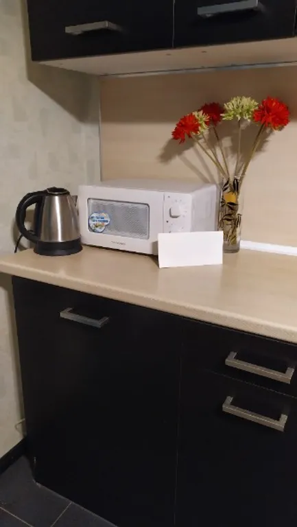 Большая 2-комнатная квартира рядом с канатной дорогой