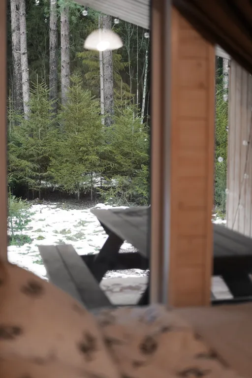 Коттедж Дом с видом на лес, сауной, 5 минут по лесной тропе до озера — Тосно