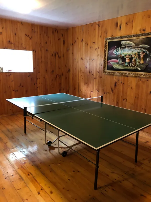 Большой, уютный дом с бильярдом в городе Гомеля. Отличное место.