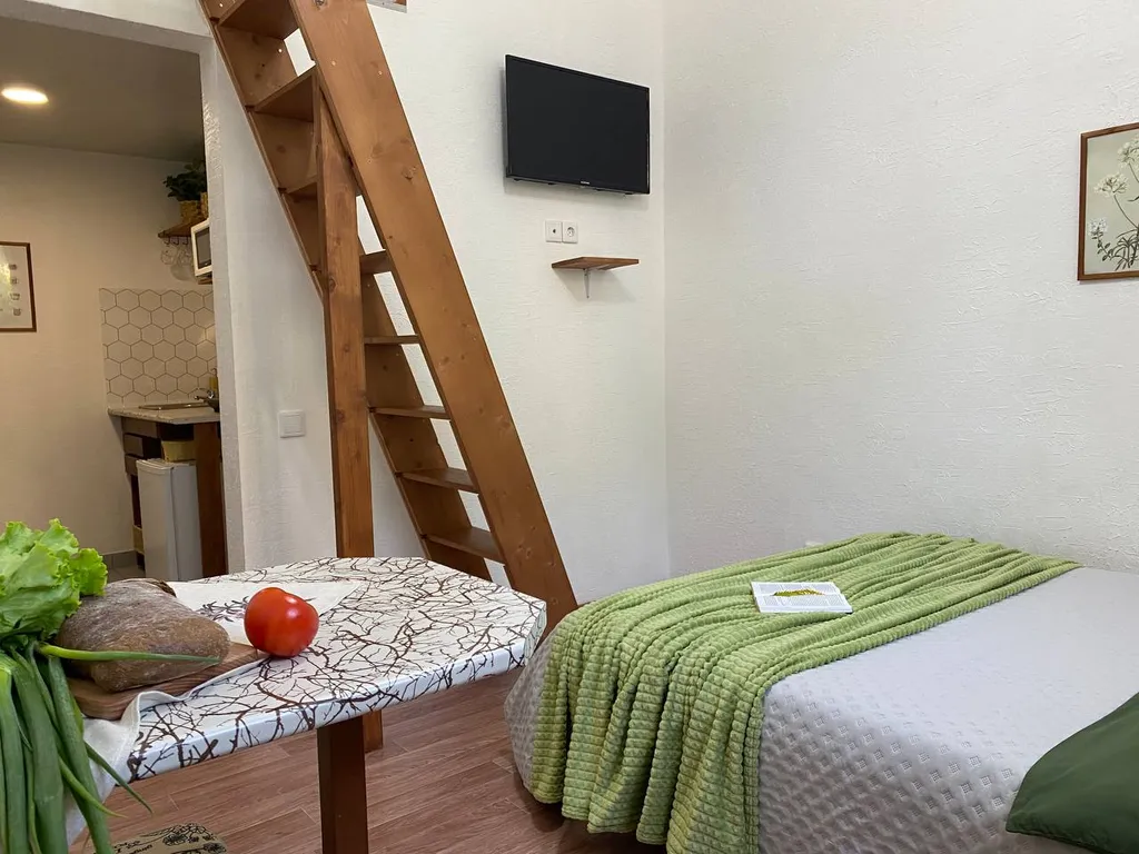 Студия 5 минут от зоопарка