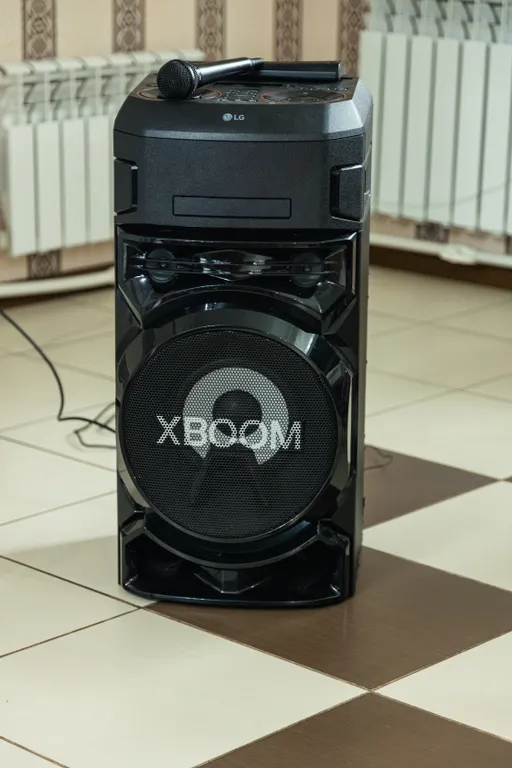 Большой дом