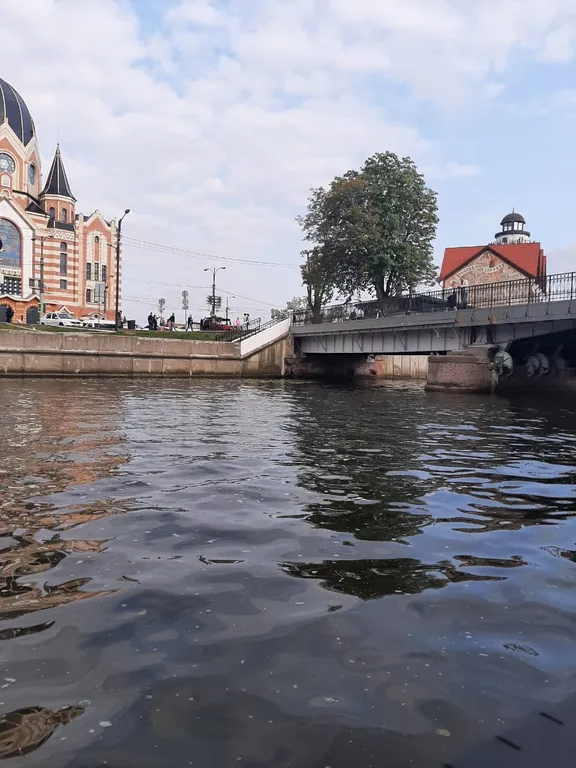 Квартира Стильные апартаменты на первой линии Балтийского моря — Пионерский