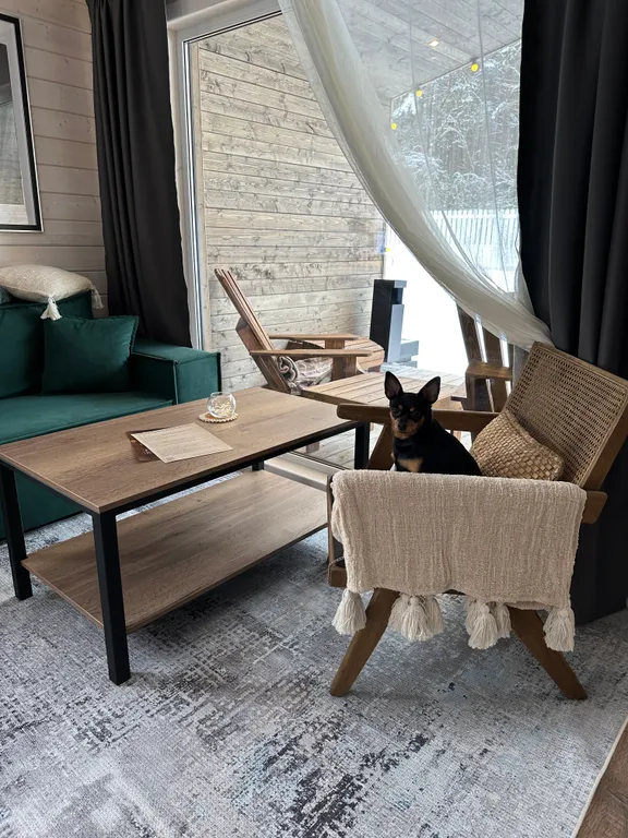 Коттедж Уютный дом рядом с лесом — Борисово