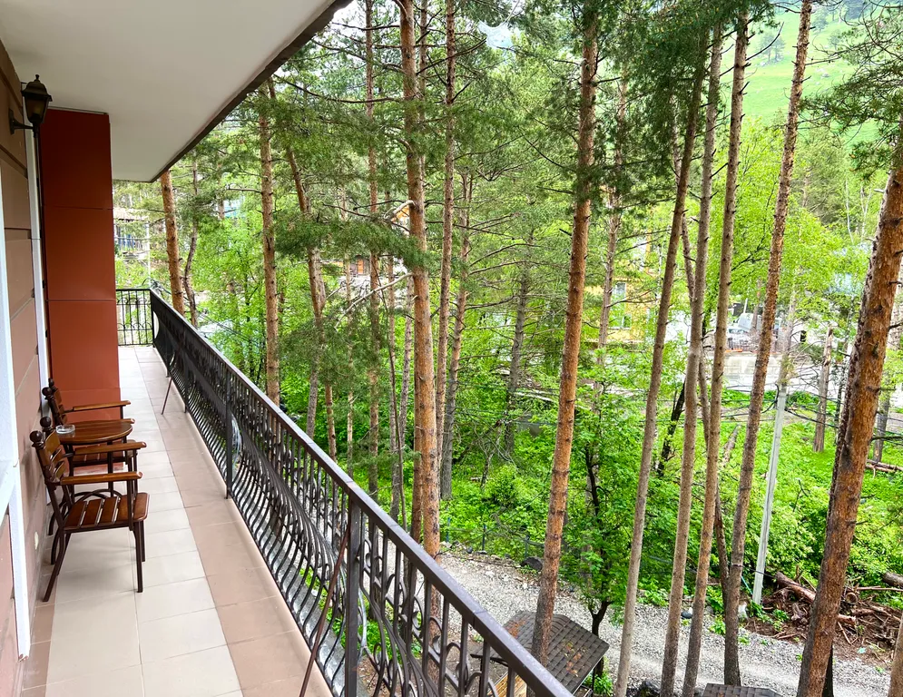 Уютная квартира в горах Эльбруса