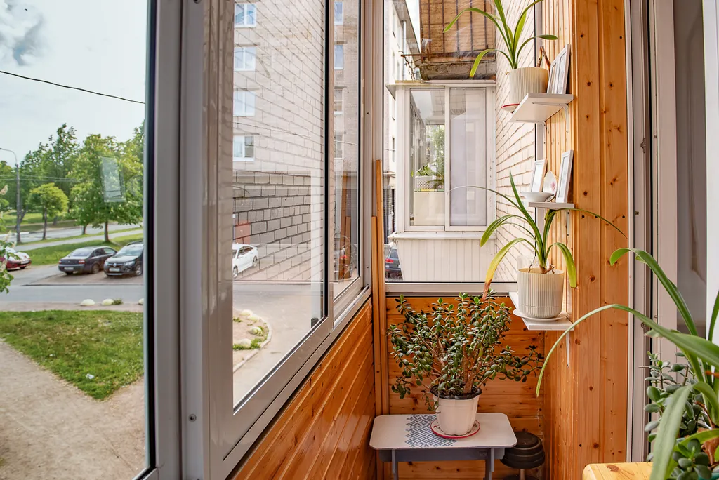 С Видом на Собор Петра и Павла