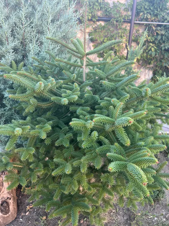 Гостевой дом Вилла Гармония