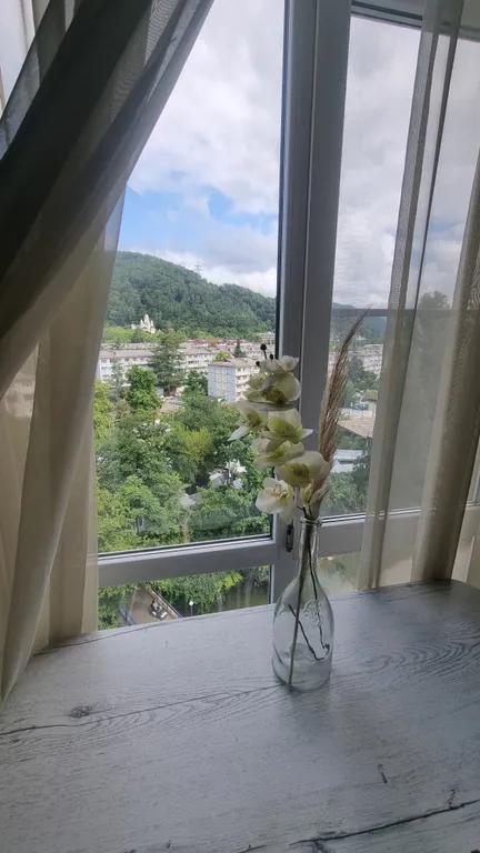 Уютная студия с красивым видом