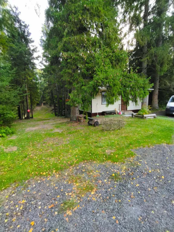 Коттедж Уютный дом в окружении векового леса — Рогачево