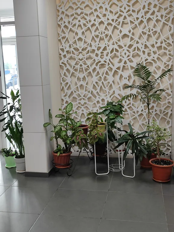 1-комнатная квартира с отдельной кухней