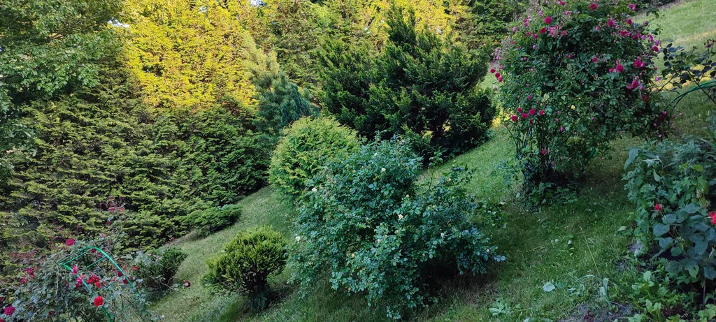 Весь первый уютный этаж с видом на природу