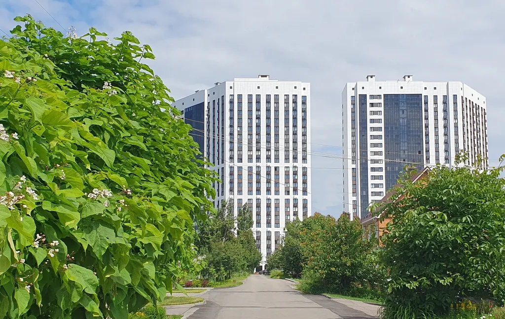 Крупногабаритная квартира с панорамным видом