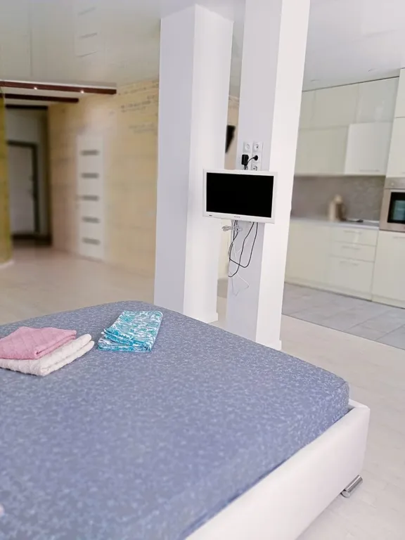 Квартира Апартаменты на бульваре архитекторов — аренда посуточно в Омск