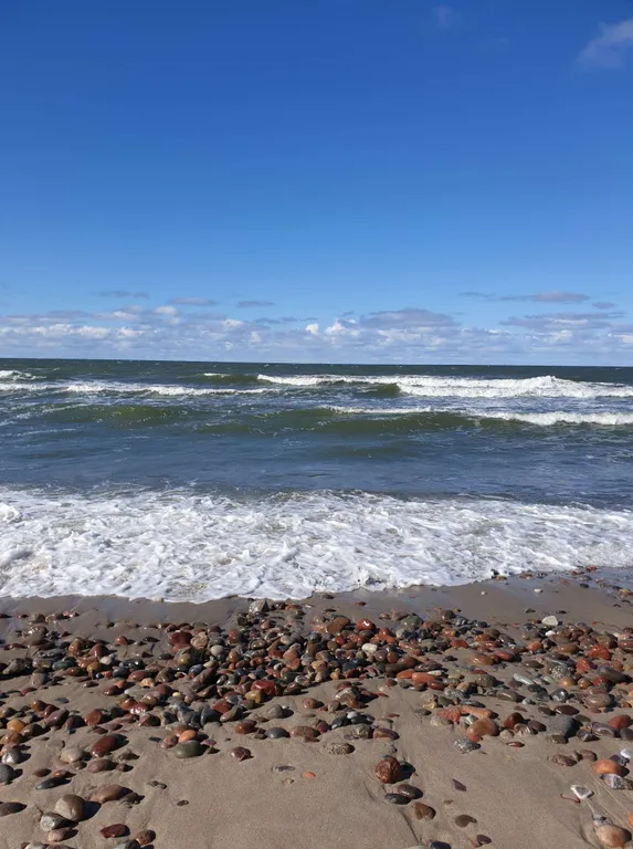 Квартира Квартира Апартамент Summer — Светлогорск