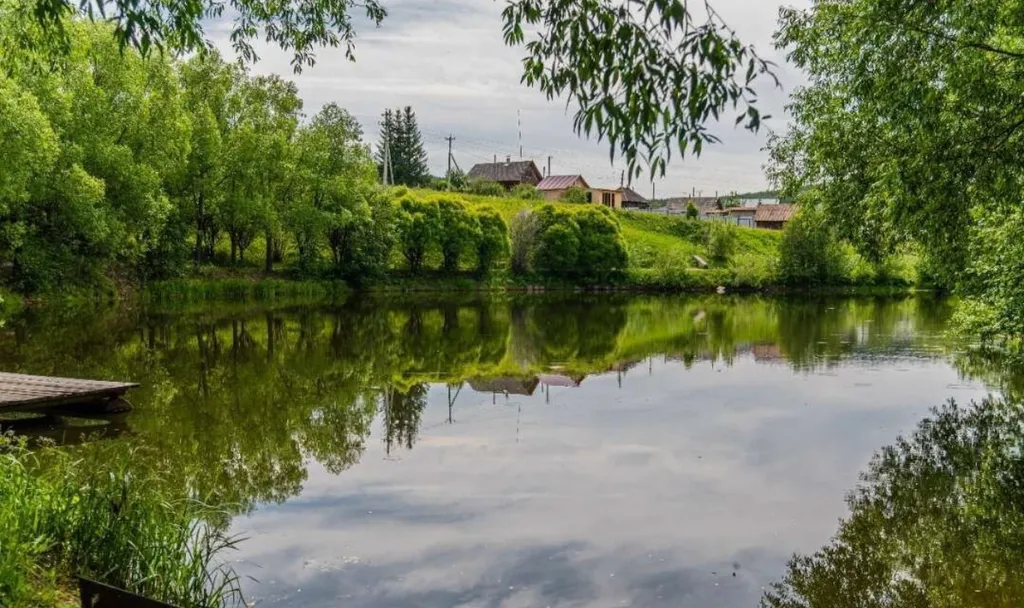 Видовой дом в лесу
