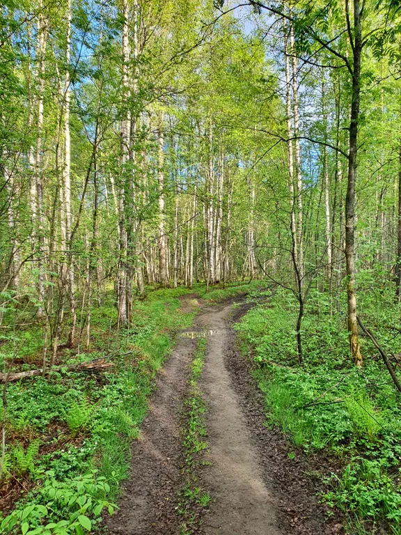 Атмосферный домик рядом с озером и лесом