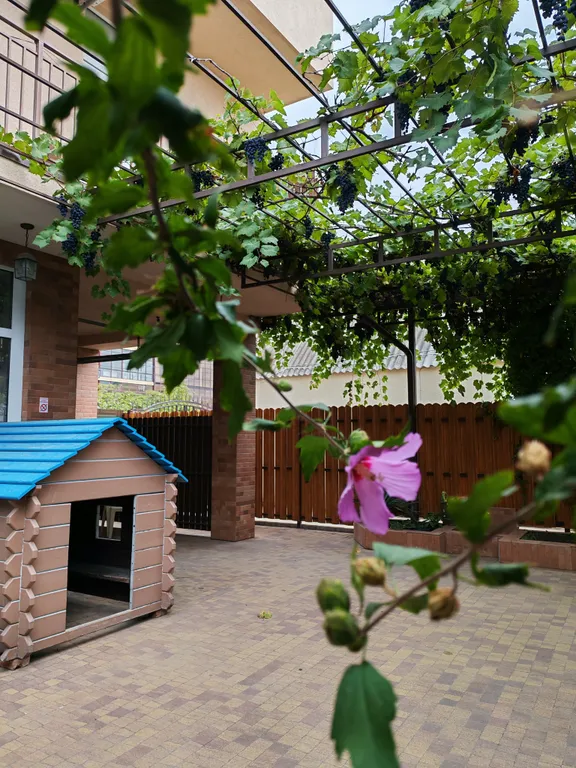 Квартира Квартира Уютная студия недалеко от моря — Анапа